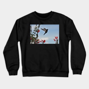 Bolivie - Colibri Crewneck Sweatshirt